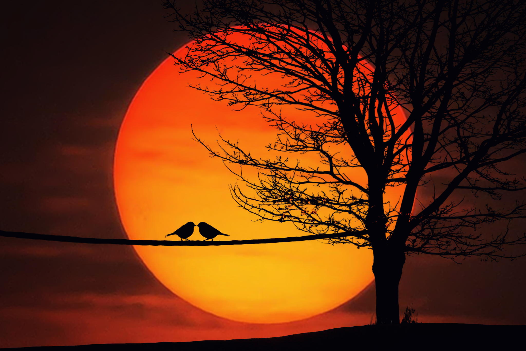 مهران علیزاده غارون